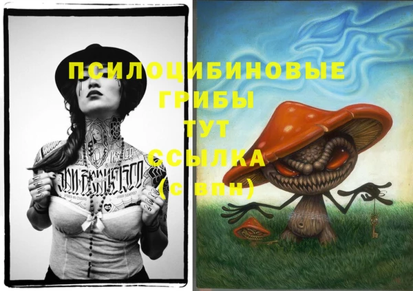 хмурый Тайга