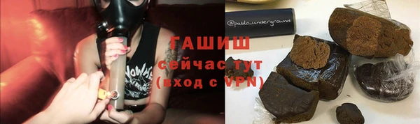 хмурый Тайга