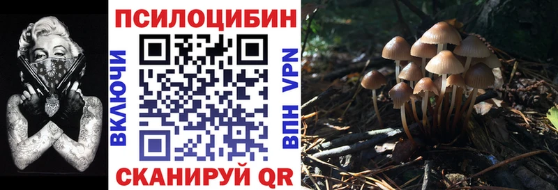 где найти Верхотурье Псилоцибиновые грибы Magic Shrooms